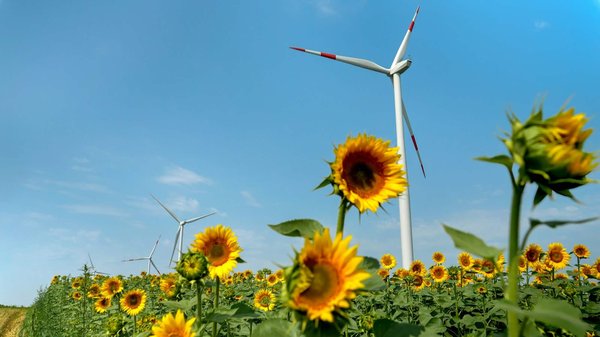 Quels sont les principes de l'industrie durable ?